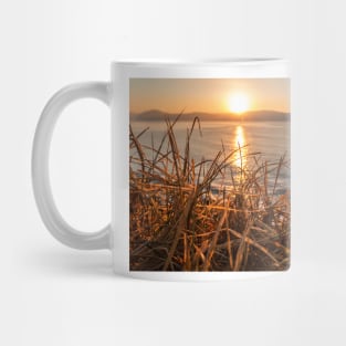 Sunrise from behind the grass on the mountain at umina on nsw central coast Mug